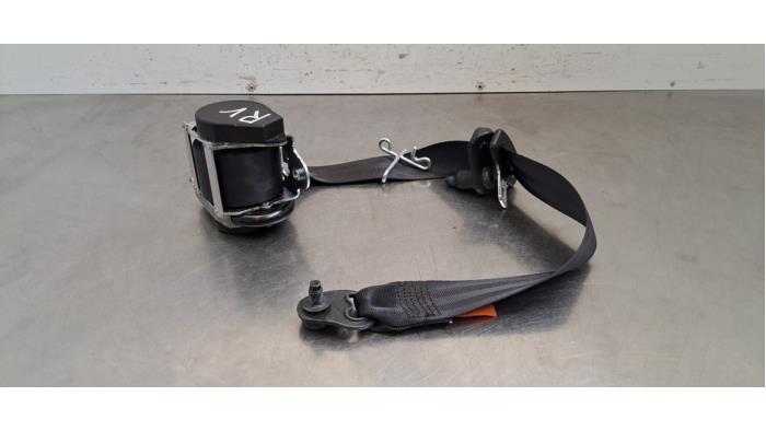 Ceinture de sécurité avant droite Ford Transit Custom