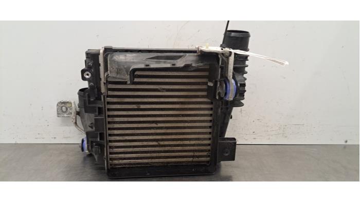 Intercooler Opel Astra