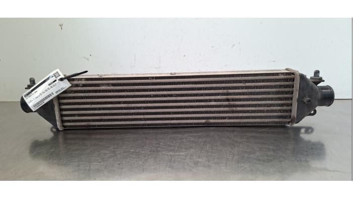 Intercooler Fiat Doblo