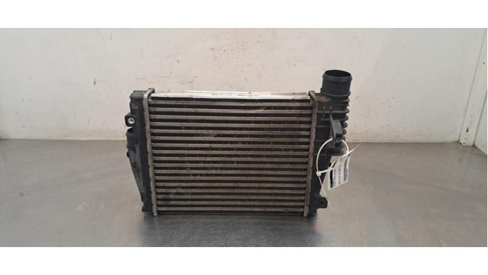Intercooler Peugeot Expert