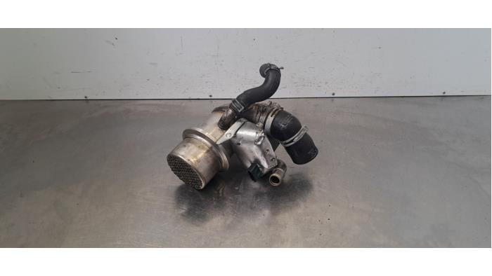 Valve RGE Volkswagen Passat