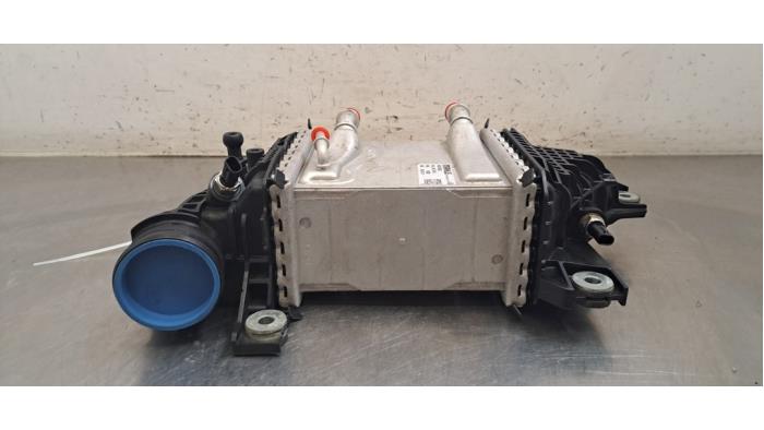 Intercooler Volkswagen Transporter