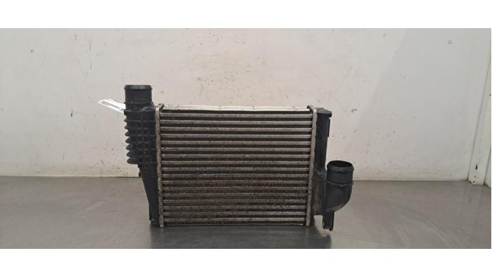 Intercooler Peugeot Traveller