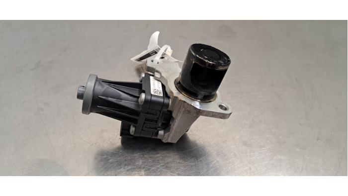 Valve RGE Renault Clio