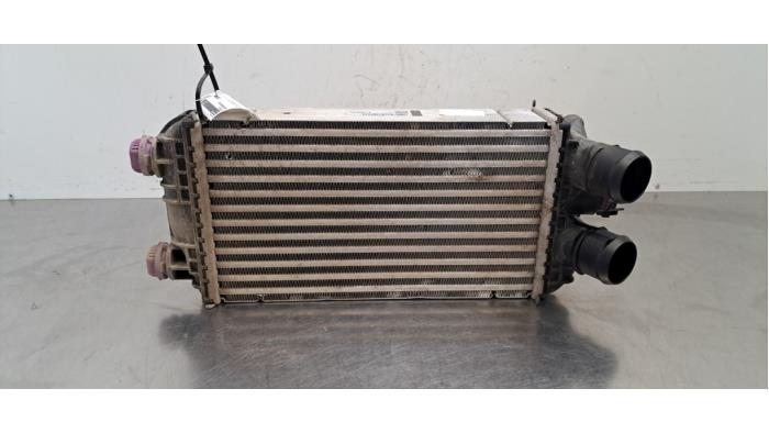 Intercooler Lancia Y(Psilon)