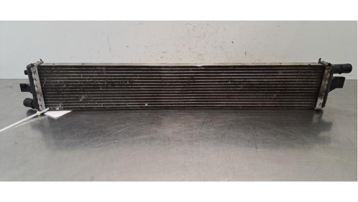 Radiateur Opel Movano