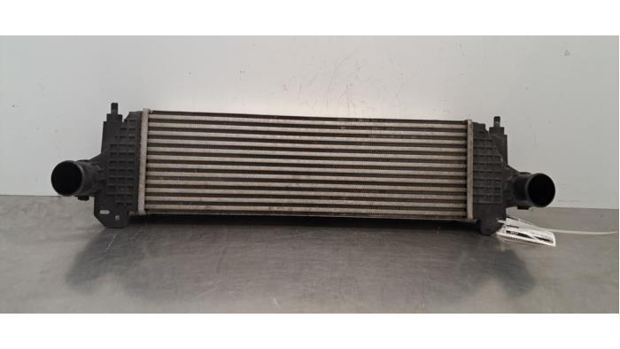 Intercooler Iveco New Daily
