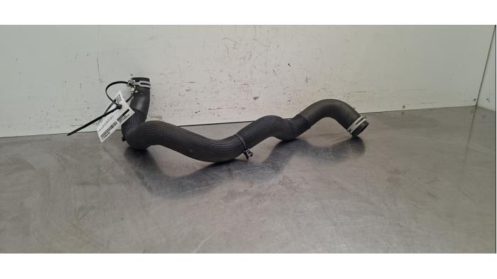 Tuyau radiateur Renault Megane