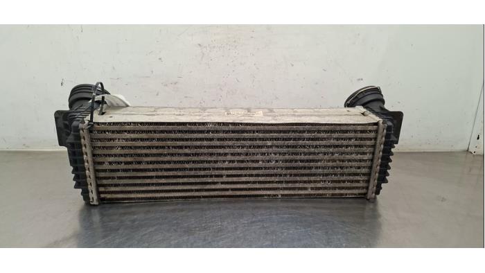 Intercooler BMW X6