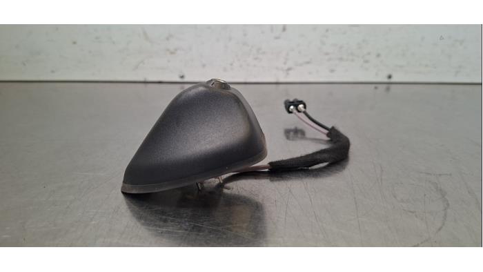 Antenne Ford Fiesta