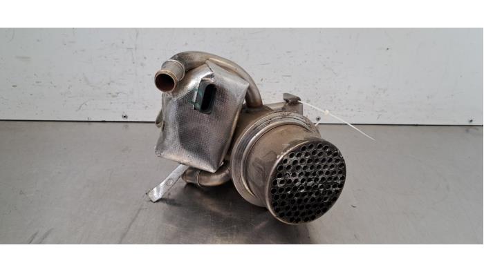 Refroidisseur RGE Volkswagen Passat
