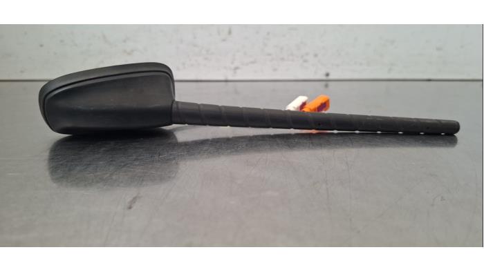 Antenne Citroen Berlingo