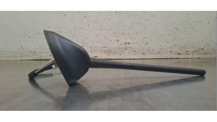 Antenne Ford Fiesta
