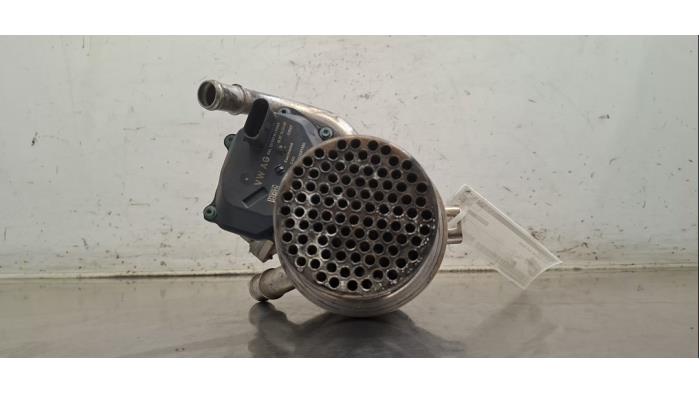 Valve RGE Volkswagen Tiguan