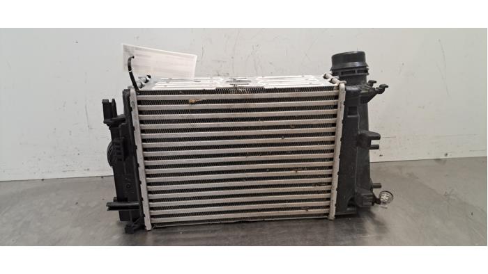 Intercooler Renault Megane