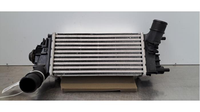 Intercooler Ford Fiesta