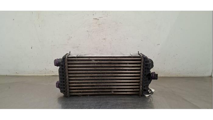 Intercooler Citroen C4