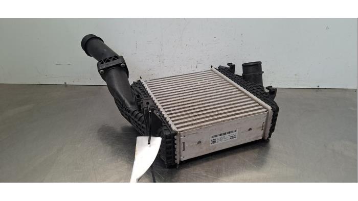 Gebruikte Intercooler Audi RS Q8 4.0 V8 32V RS TFSI Mild Hybrid Quattro Prijs € 266,20 Inclusief btw aangeboden door Autohandel Didier