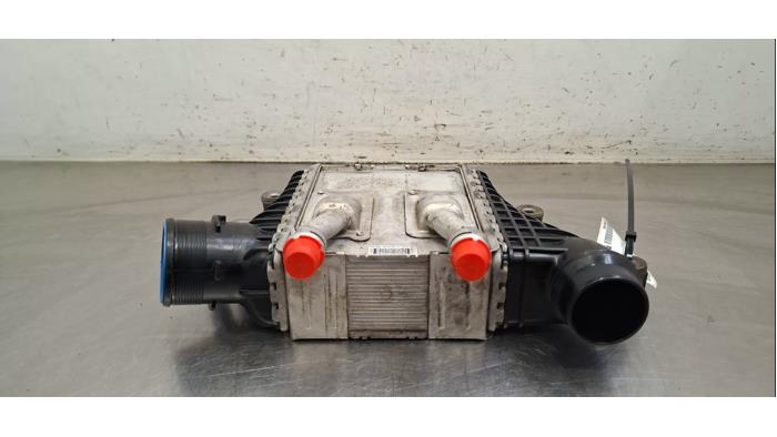 Intercooler Landrover Discovery