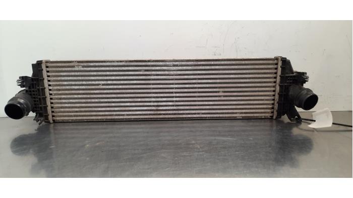 Gebruikte Intercooler Ford Focus 4 1.0 Ti-VCT EcoBoost 12V 125 Prijs € 90,75 Inclusief btw aangeboden door Autohandel Didier