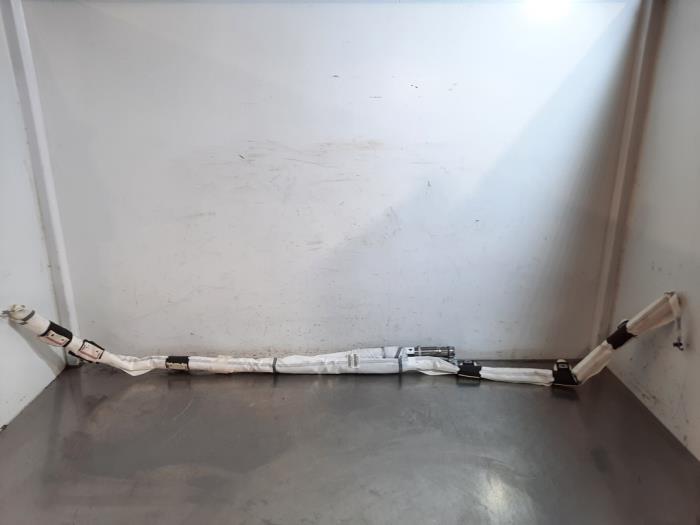 Airbag plafond gauche Citroen C4