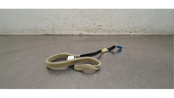 Antenne amplificateur Renault Master