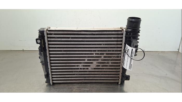 Intercooler Peugeot Expert