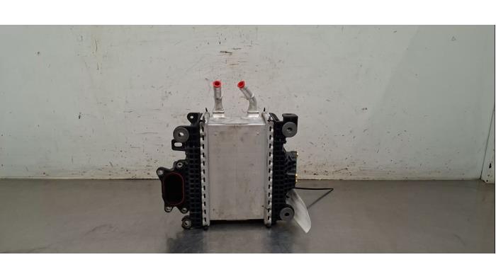 Intercooler Ford Transit Custom
