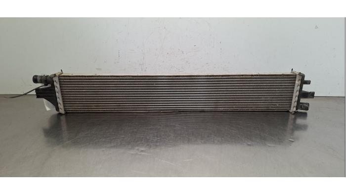 Radiateur Renault Master