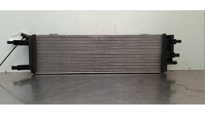 Radiateur Renault Rafale