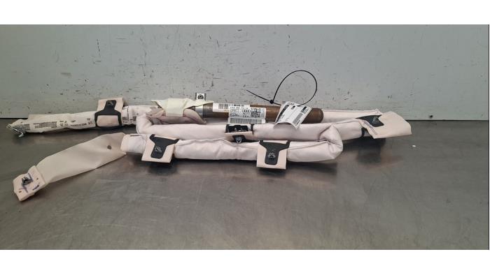 Airbag plafond gauche Audi E-Tron