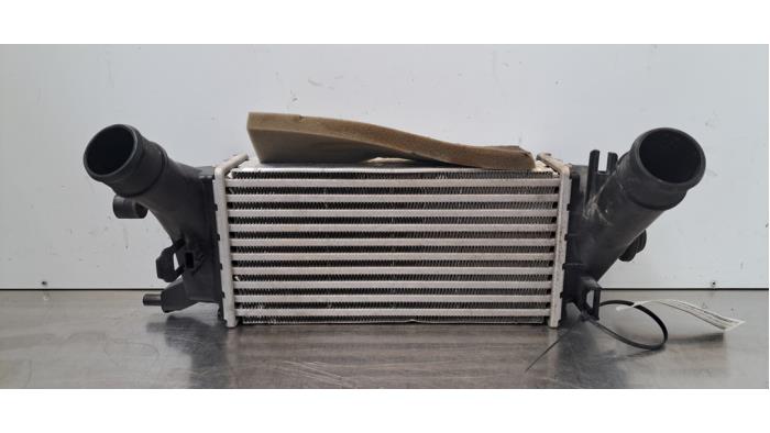 Intercooler Ford Ecosport