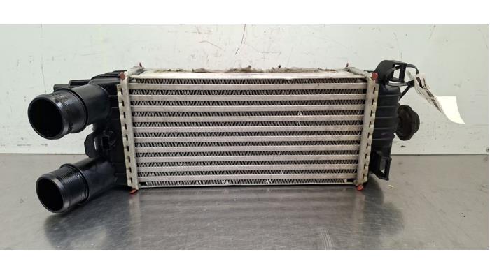 Intercooler Ford Transit Courier