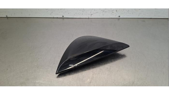 Bande décorative Renault Scenic