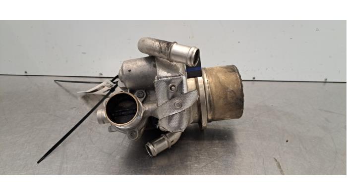 Valve RGE Volkswagen Passat