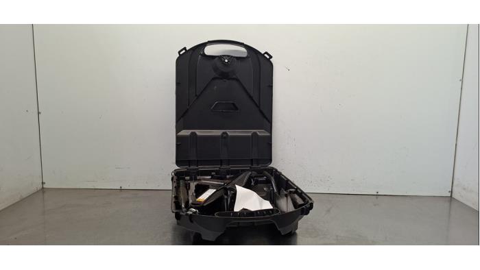 Cricket Renault Trafic