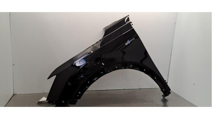 Ecran frontal stânga Renault Rafale