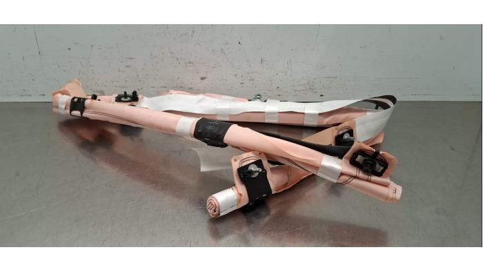 Airbag plafond gauche Ford Focus