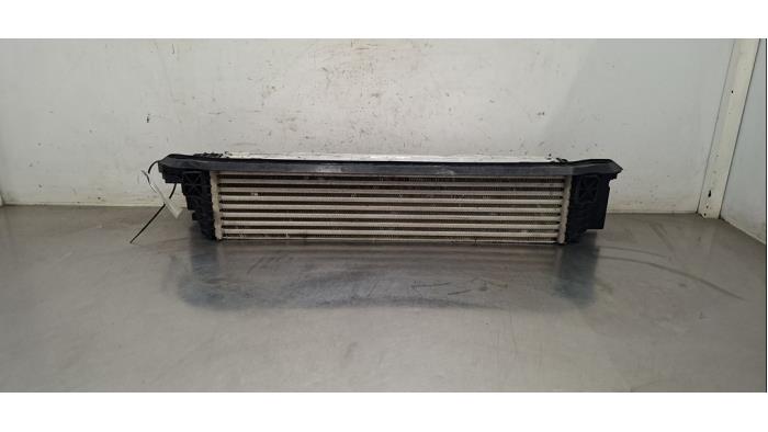Intercooler BMW X1