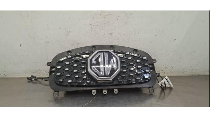 Grill MG ZS
