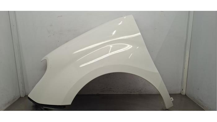 Linker voorste scherm Fiat Doblo