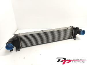 Gebruikte Intercooler Landrover Freelander II 2.2 tD4 16V Prijs € 45,00 Margeregeling aangeboden door DP Auto-onderdelen & Demontage