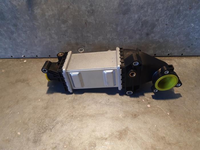 Nieuwe Intercooler Volkswagen Polo V (6R) 1.4 TDI 12V 90 Prijs € 240,79 Inclusief btw aangeboden door Uittenbogaard onderdelen BV