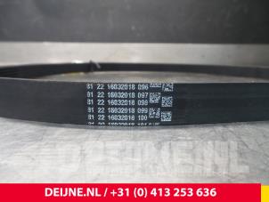 Volvo V90 Drive belt O5569 photo 3