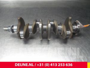 Volvo C30 Krukas O5619 foto 2