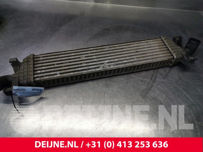 Volvo V50 Ladeluftkühler O8198
