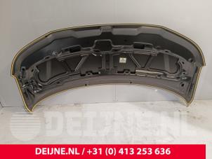 Volkswagen Transporter Bonnet O9990000122 photo 2
