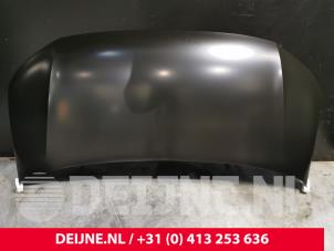 Volkswagen Transporter Motorkap O9990000124 foto 3
