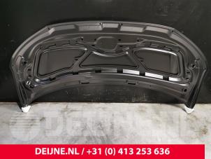 Volkswagen Transporter Motorkap O9990000124 foto 4