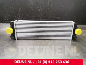 Mercedes Sprinter Intercooler O9990000493 foto 2